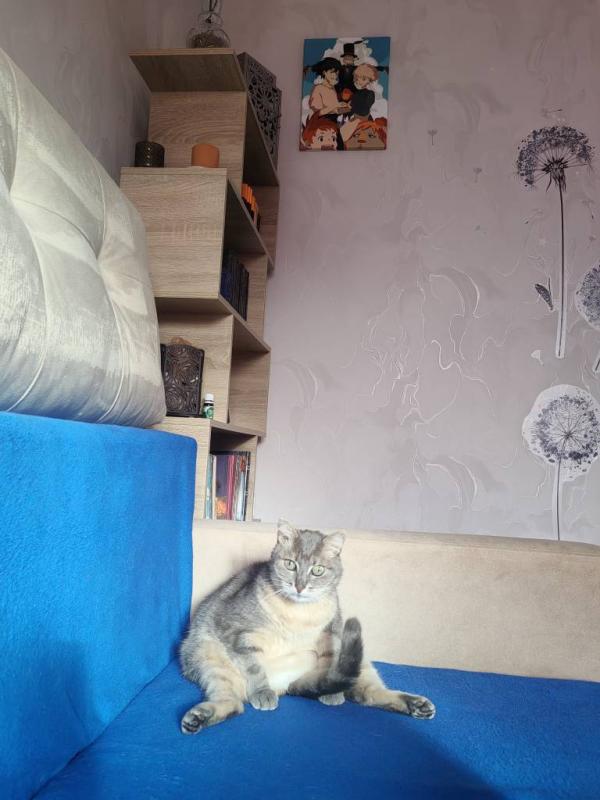 Касуми. Отзыв о корме.