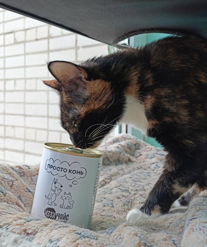 Маковка передаёт спасибо за создание данного корма.