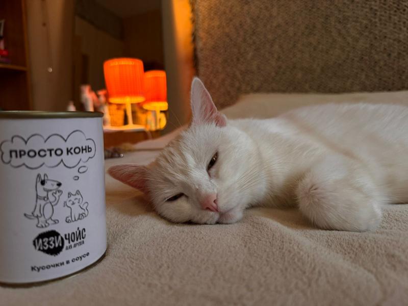 Отзыв о корме