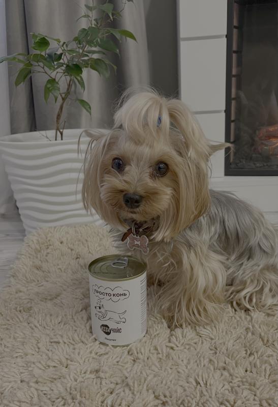 Спасибо создателю