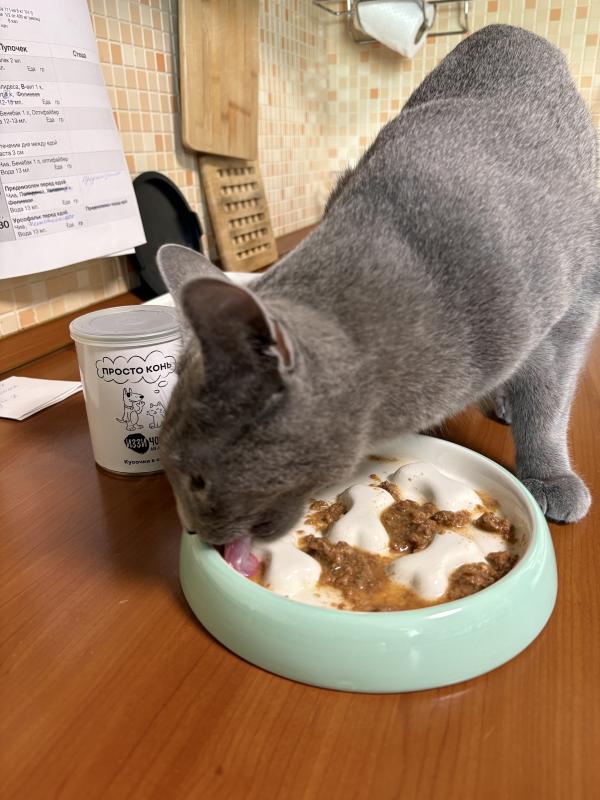 Отзыв от Марины