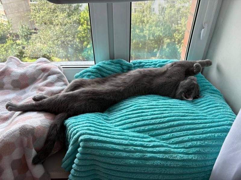 Отзыв из чата Телеграмм