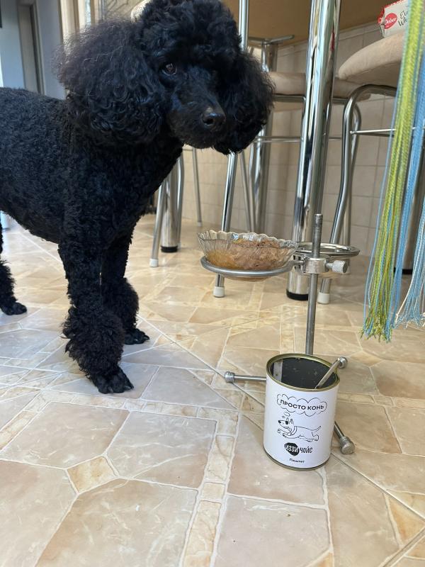 Спасибо от Юджина