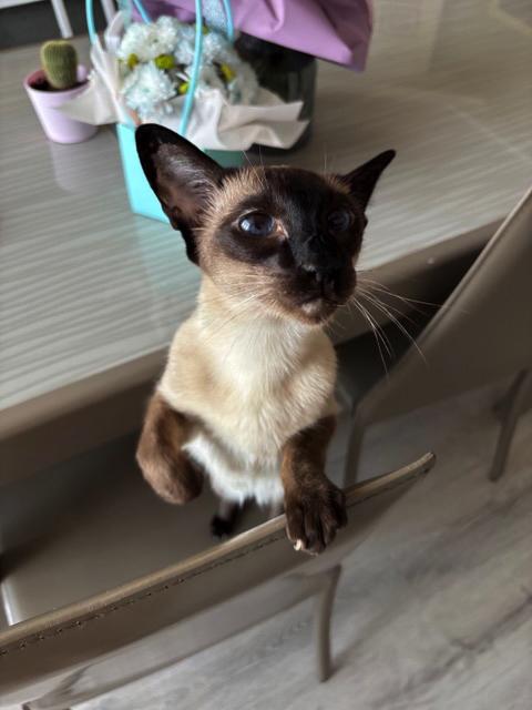 Отзыв Александра