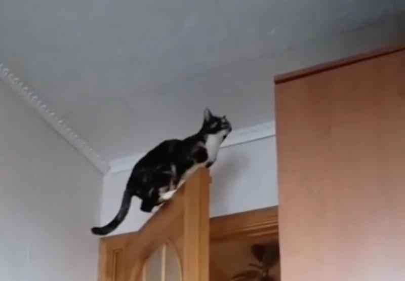 Второй отклик от Маковки