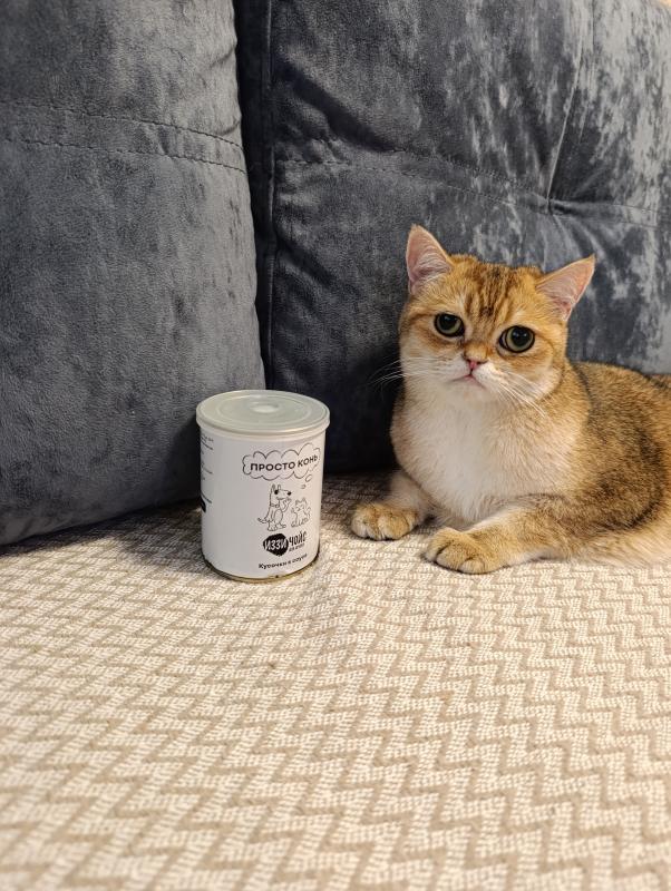 С уважением, котомама Диана и кот Персивальд.