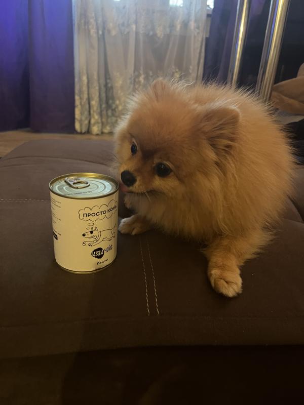 5 месяцев гурман доволен выбором!