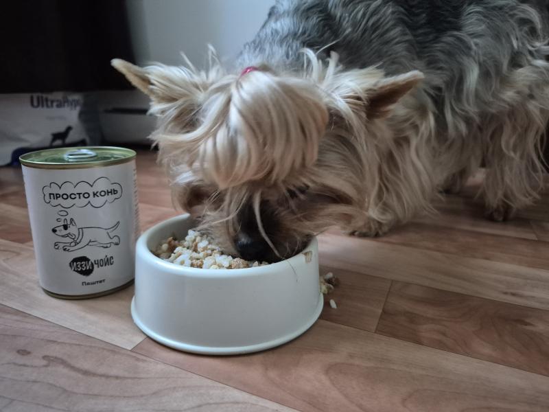 Отзыв о корме ИззиЧойс