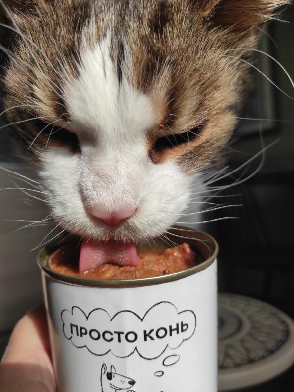 Впечатления и фотка )