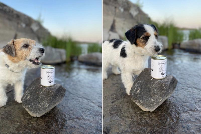 Татьяна Мельник, Ветиринар, клиника "Ноев Ковчег", г. Киров