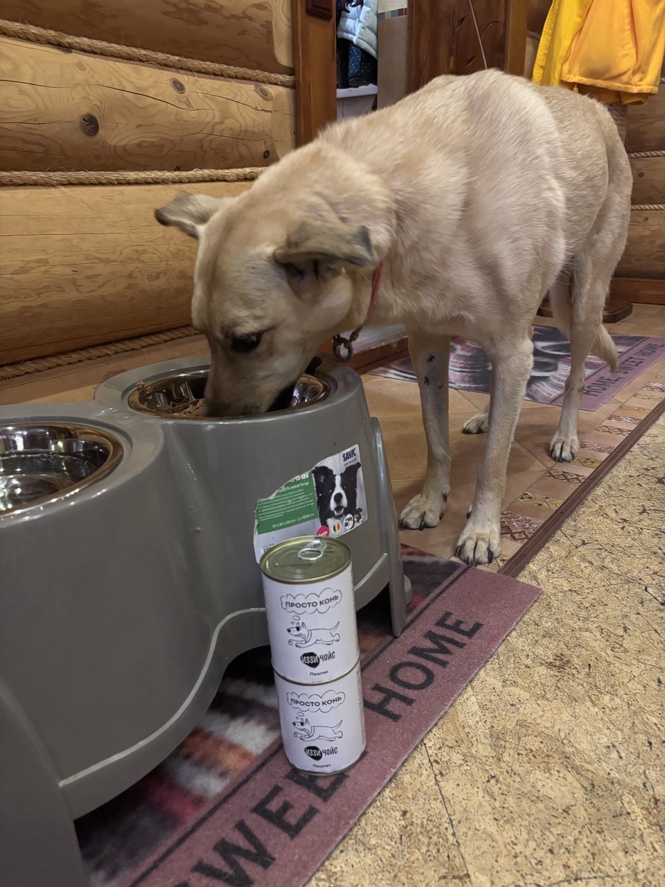 Ваня имеет право на вкусный и здоровый корм!