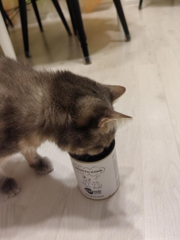 И снова Касуми прислал нам весточку!