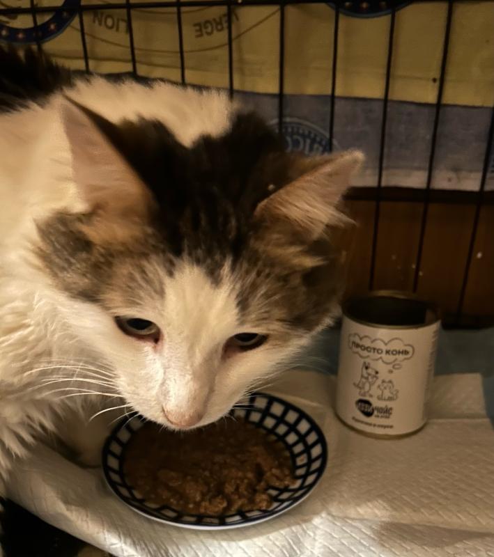 Отзыв Семушки