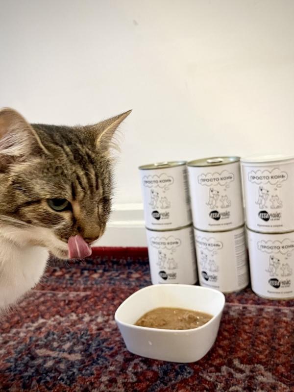 Кошка Лулу любит Izzy Choice