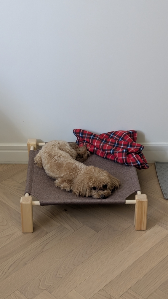 Винни радует нас новыми историями!