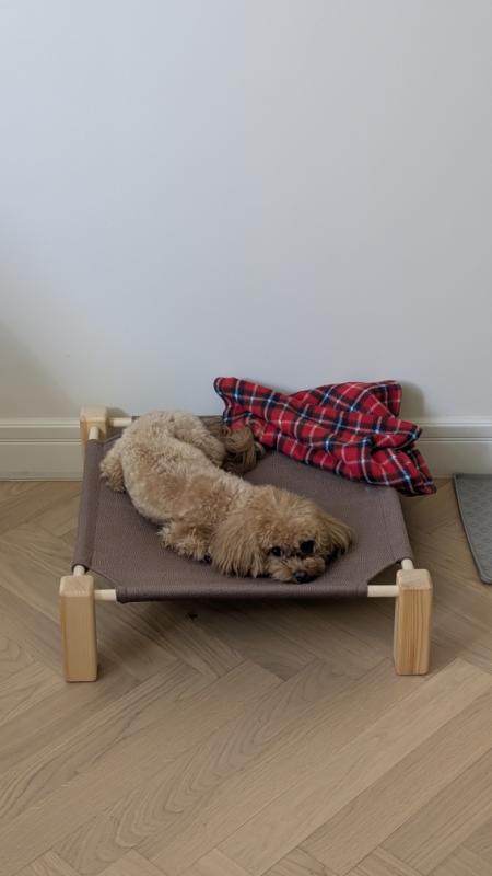 Винни радует нас новыми историями!