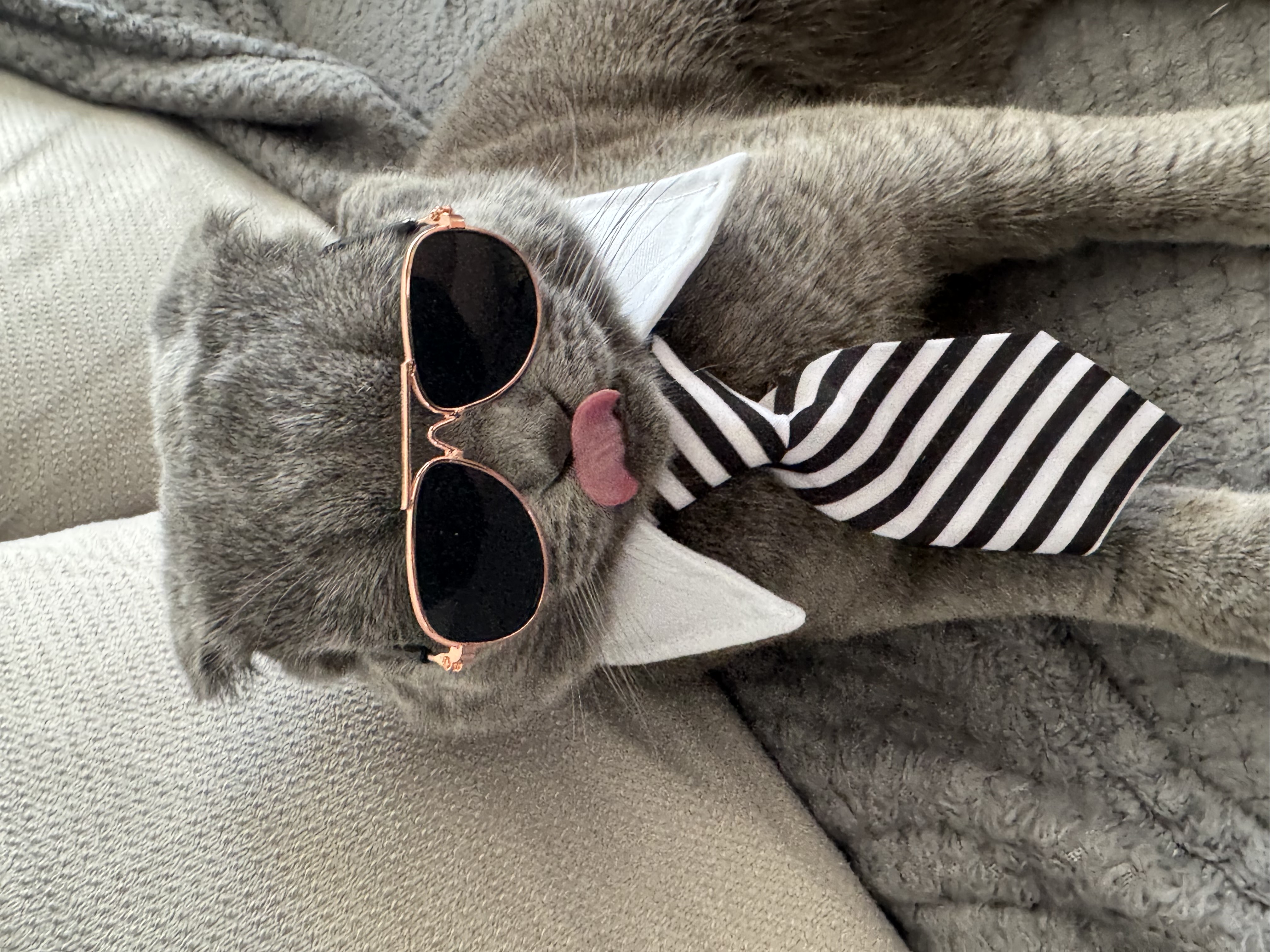 Когда готов даже на работу пойти ради вкусной еды!