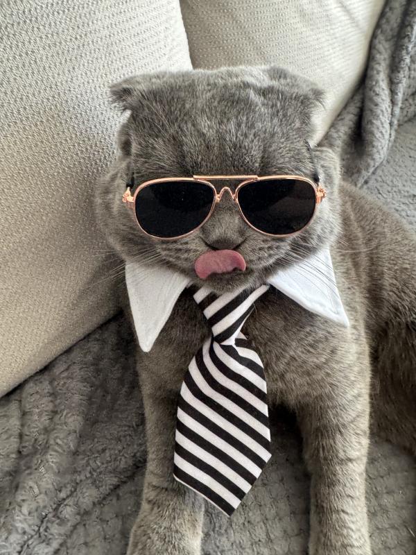 Когда готов даже на работу пойти ради вкусной еды!