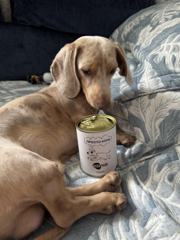 Завтрак в постель в ленивые выходные…