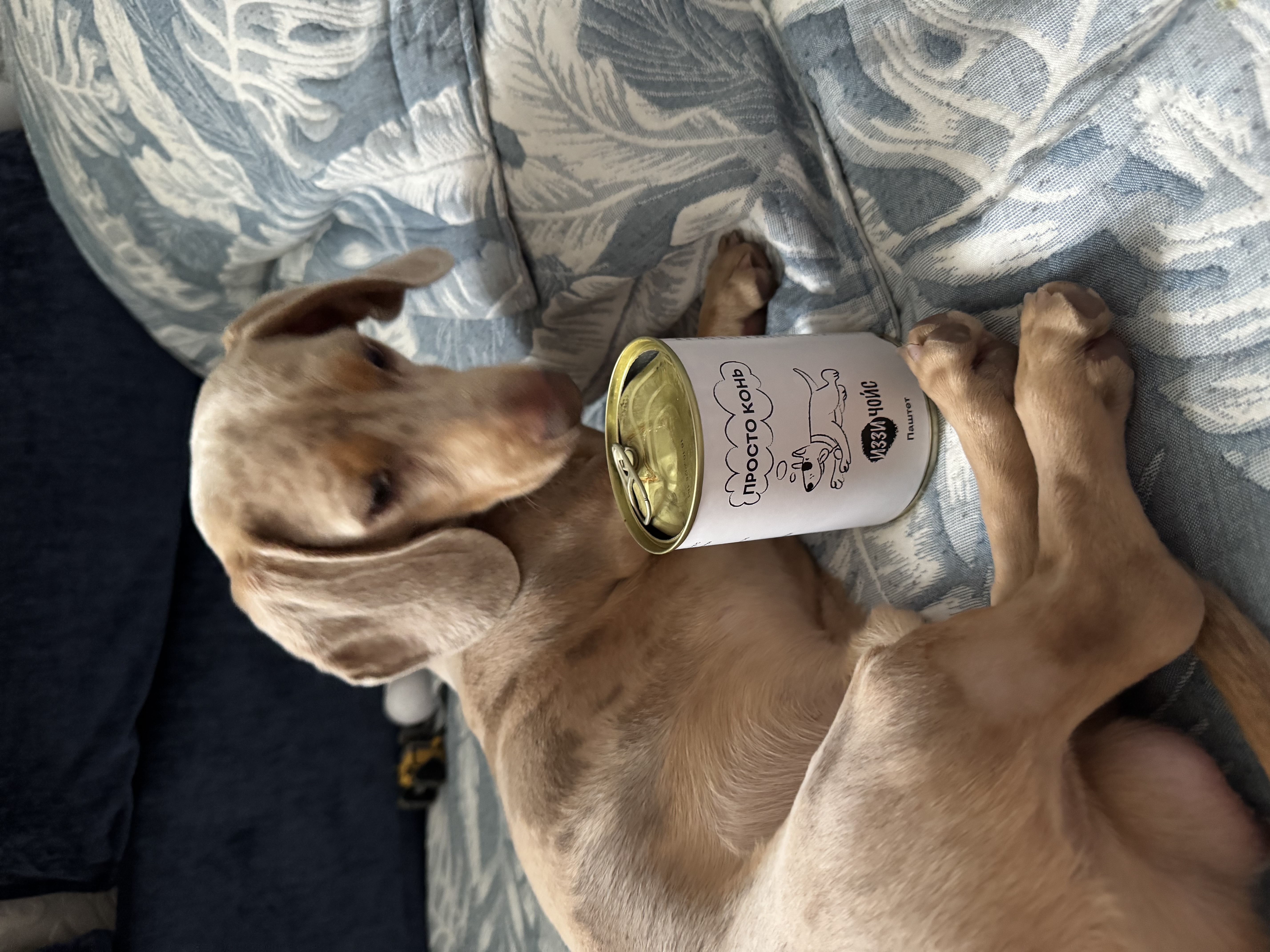 Завтрак в постель в ленивые выходные…