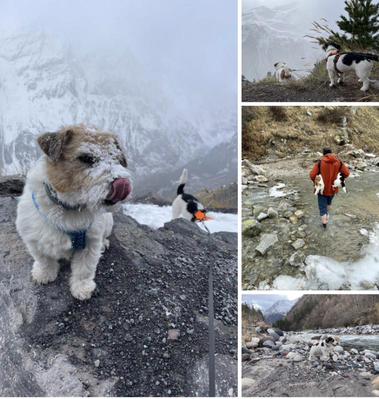 Прекрасные истории и лайфхаки от наших путешественников!