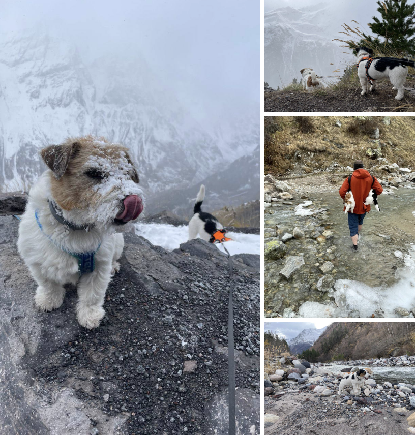 Прекрасные истории и лайфхаки от наших путешественников!