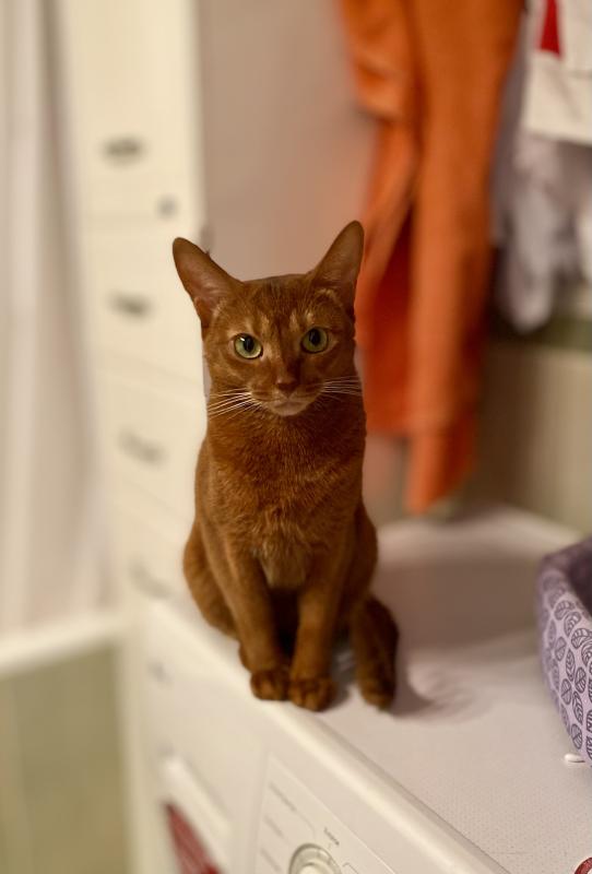 Второй отзыв Люси)