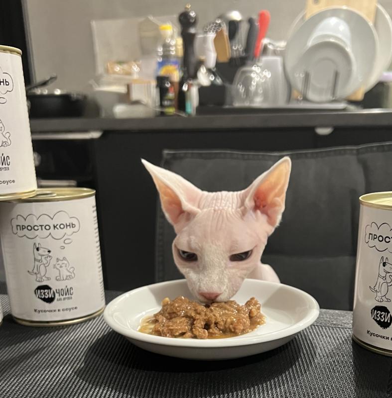 Хотел бы поделиться отзывом о корме Иззи Чойс «Просто конь»