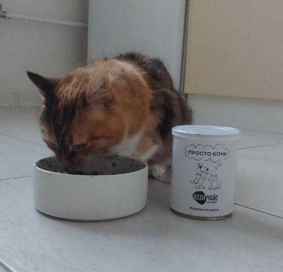 Спасибо за корм