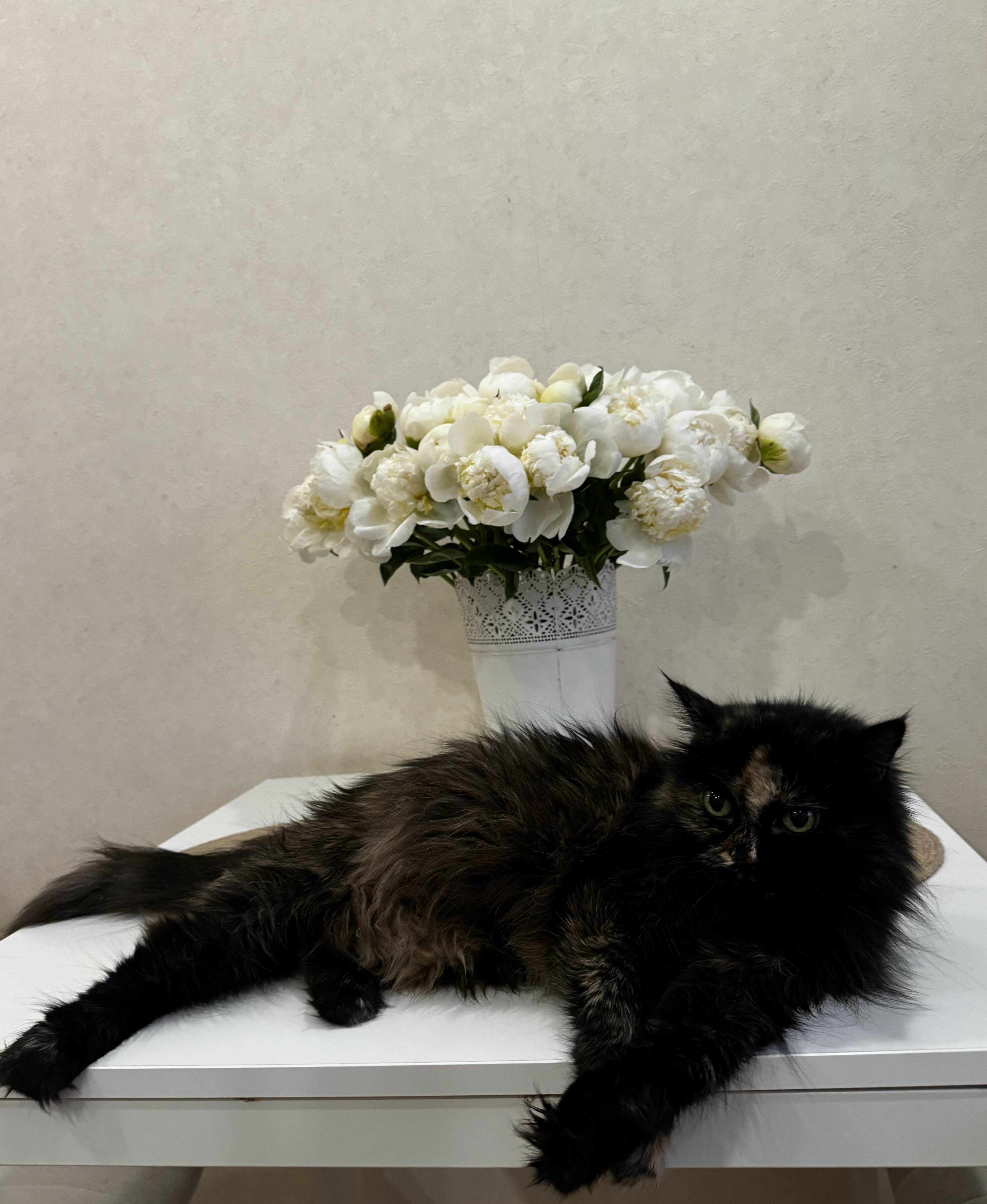 От Лизуни, с любовью