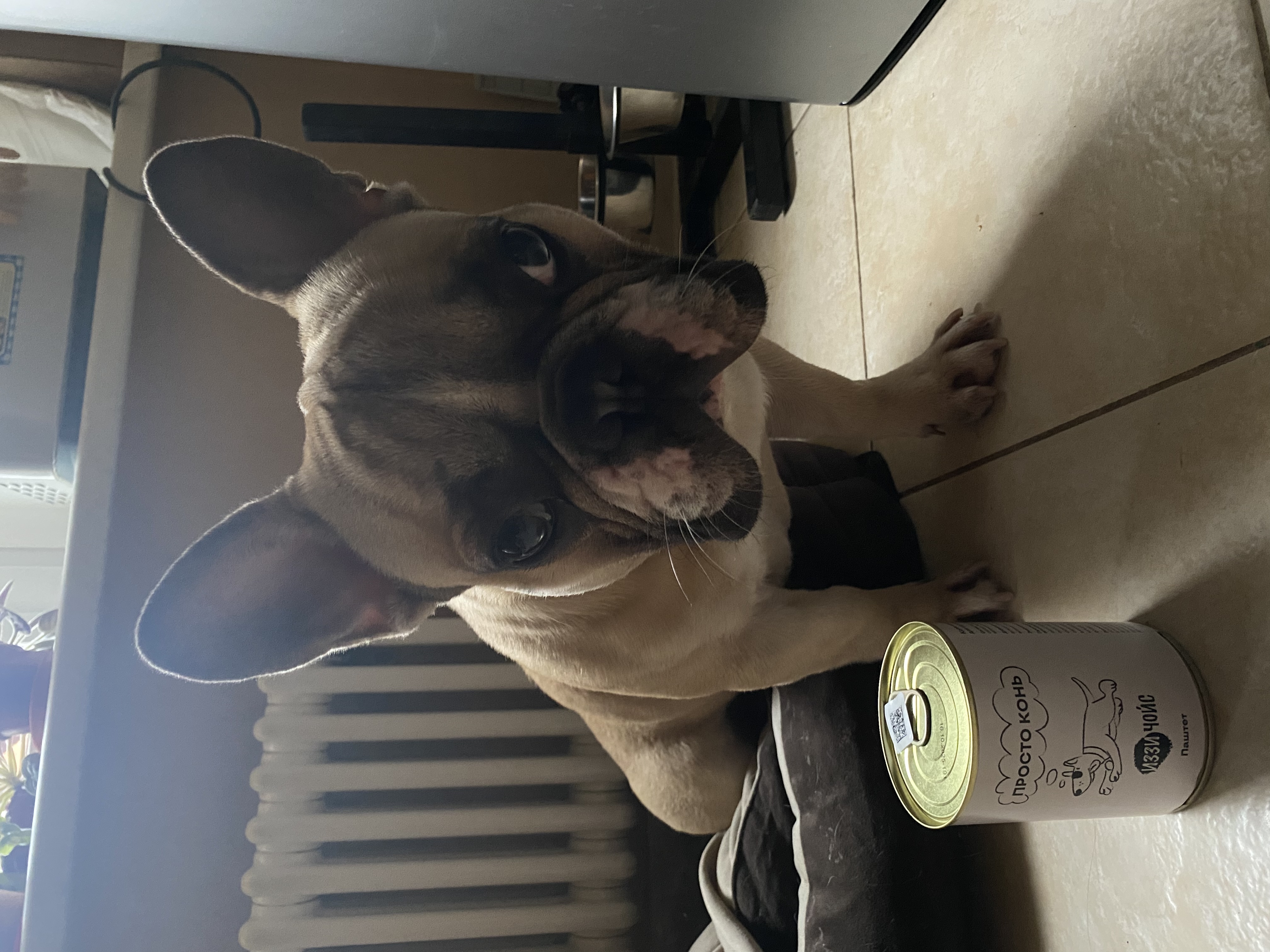 Французский гурман!