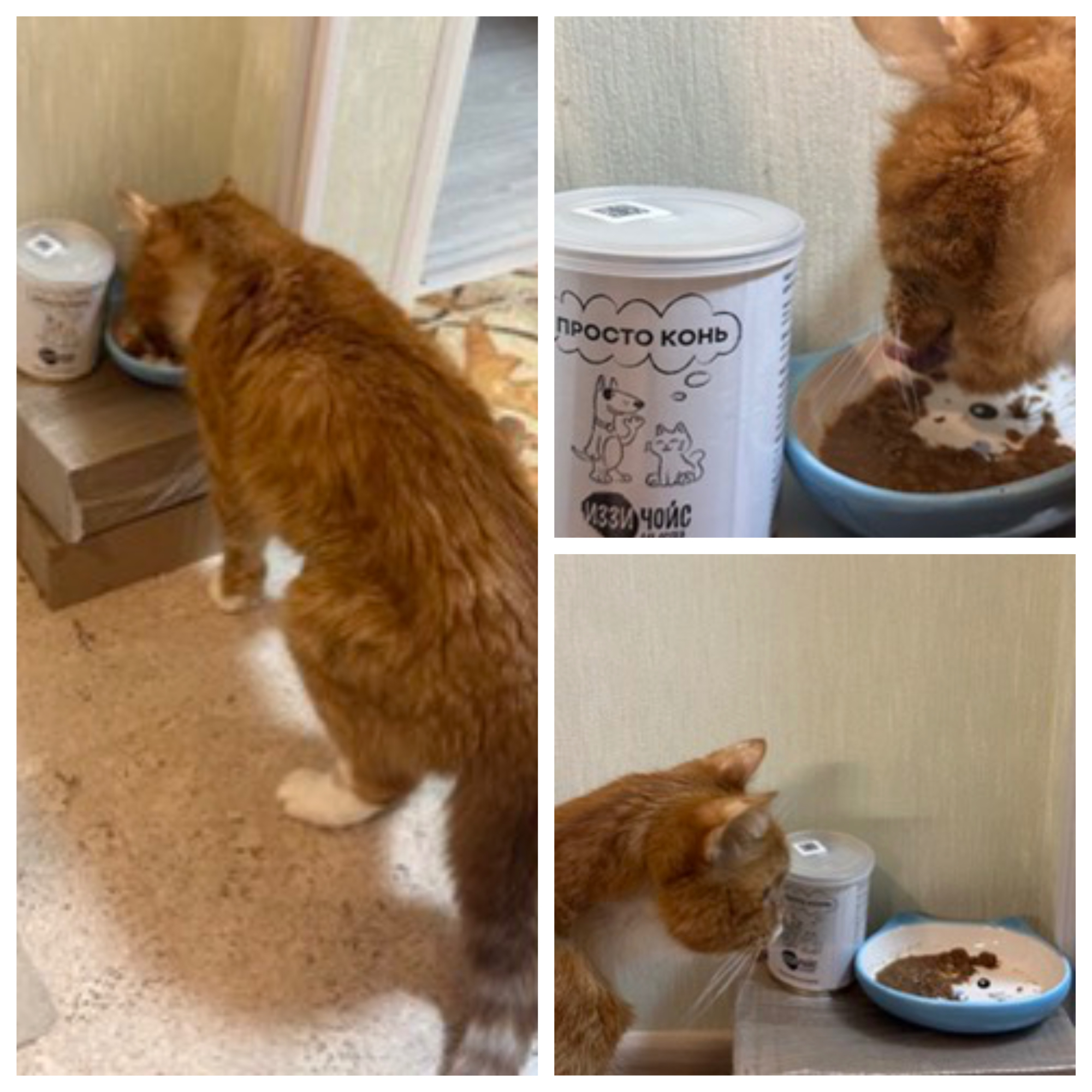 Большое спасибо вам от всей нашей семьи!