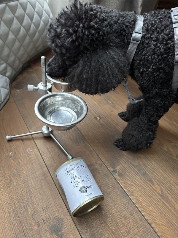 Юджин снова передает Привет!