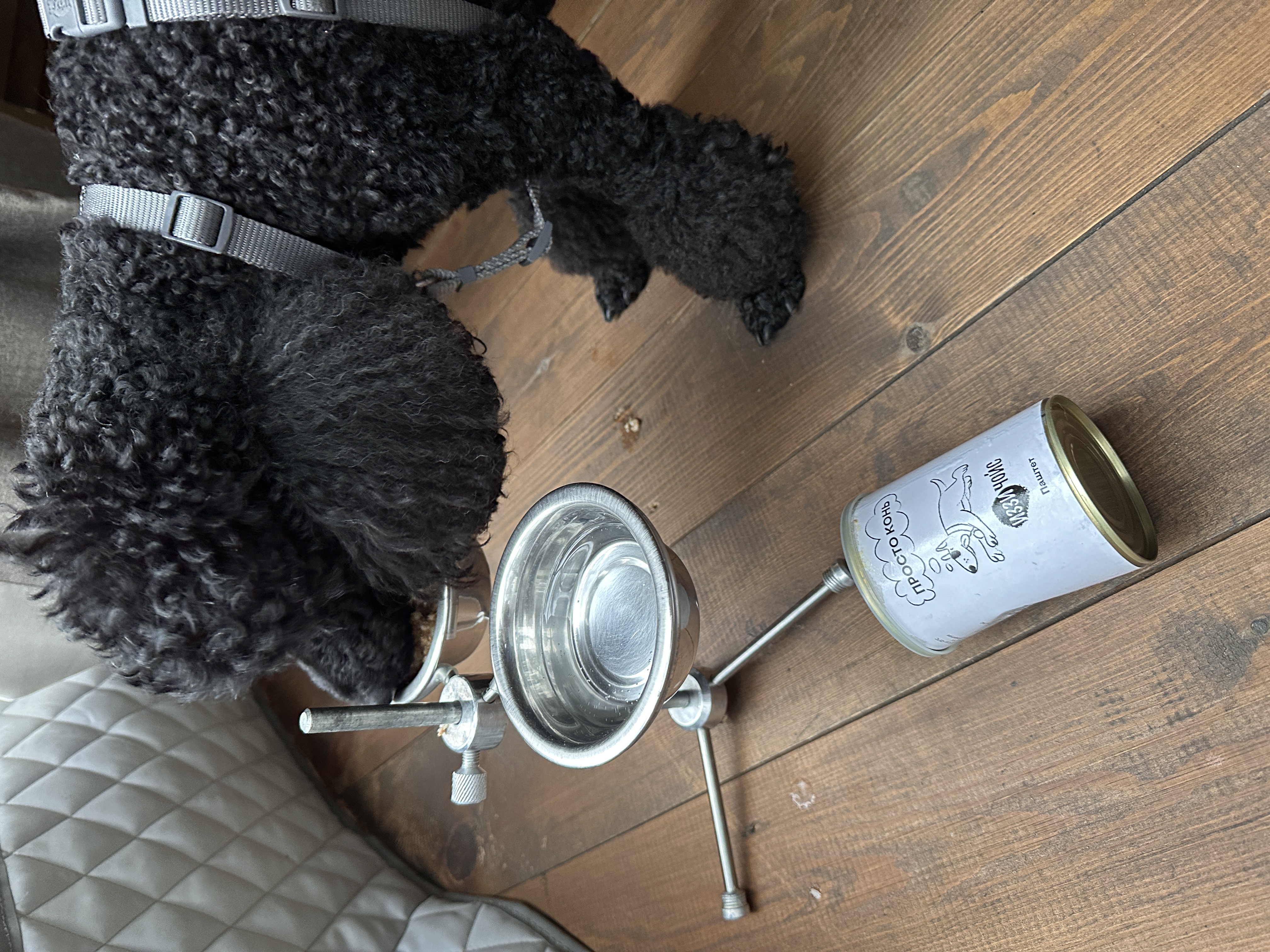 Юджин снова передает Привет!