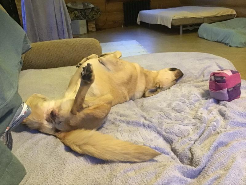 Ванечка радует нас своим отзывом!