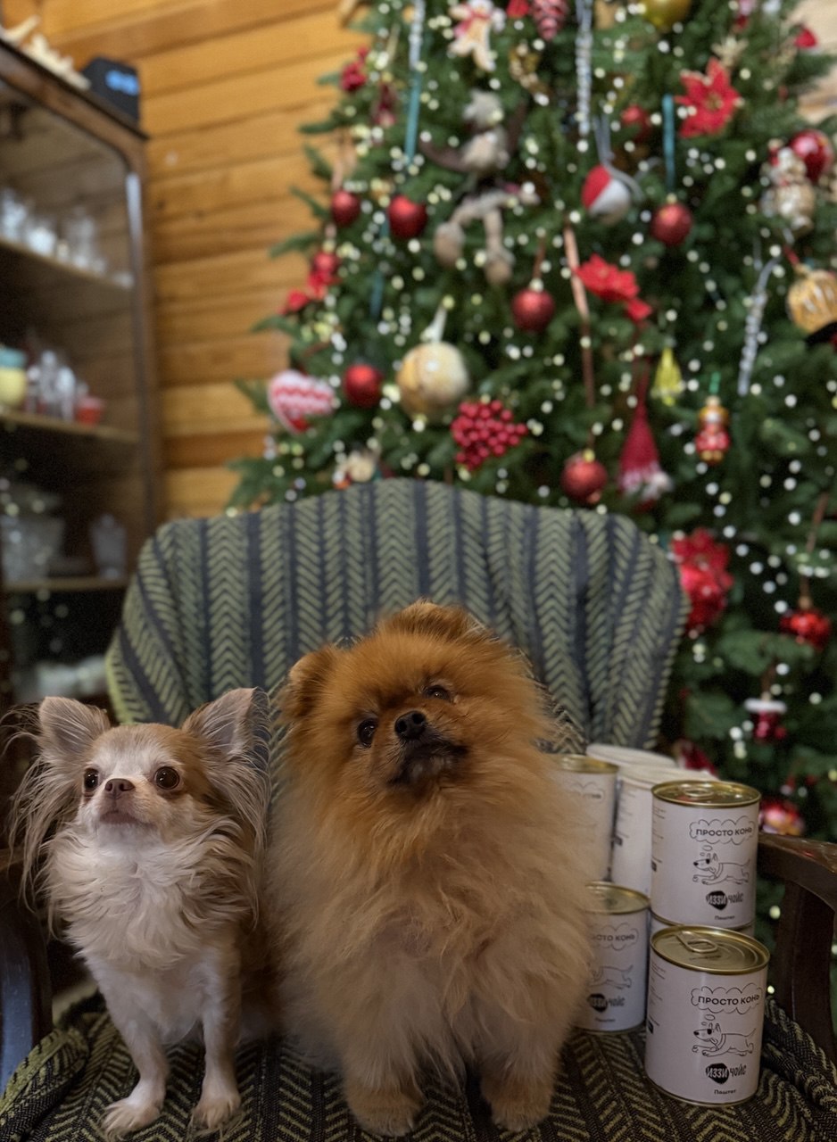 Жасмин и Таисия