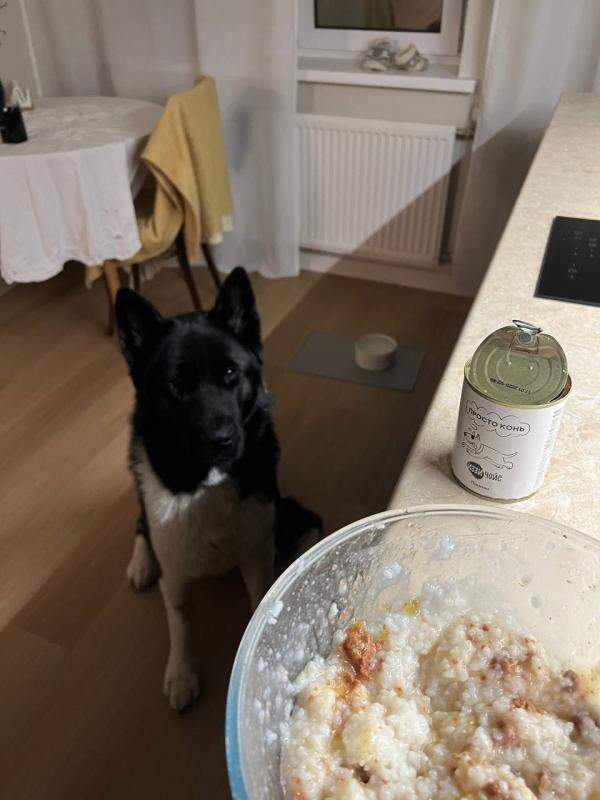 Александр и Изя, благодарим вас за корм!