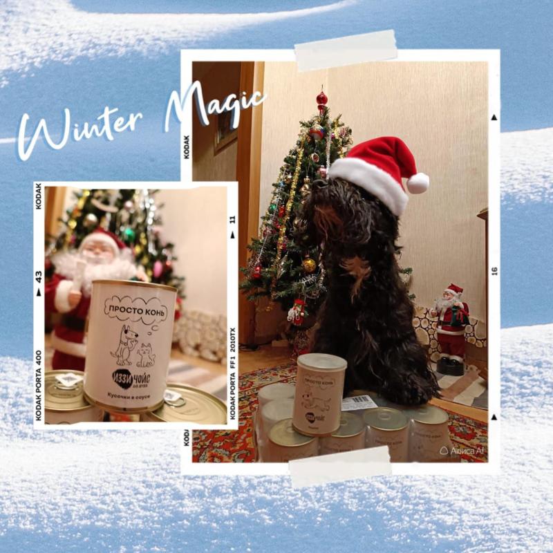 Новогодний привет от Григория!