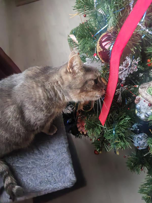 Касуми снова на связи!