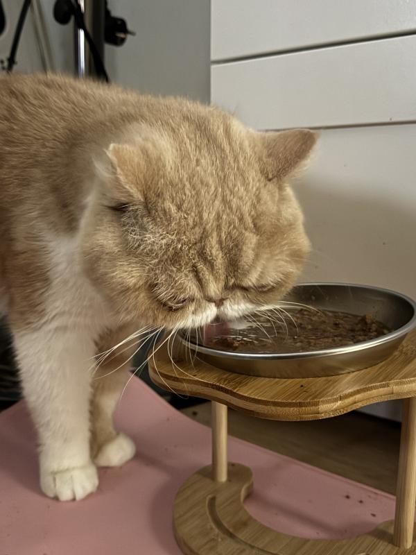 Отзыв от Персика