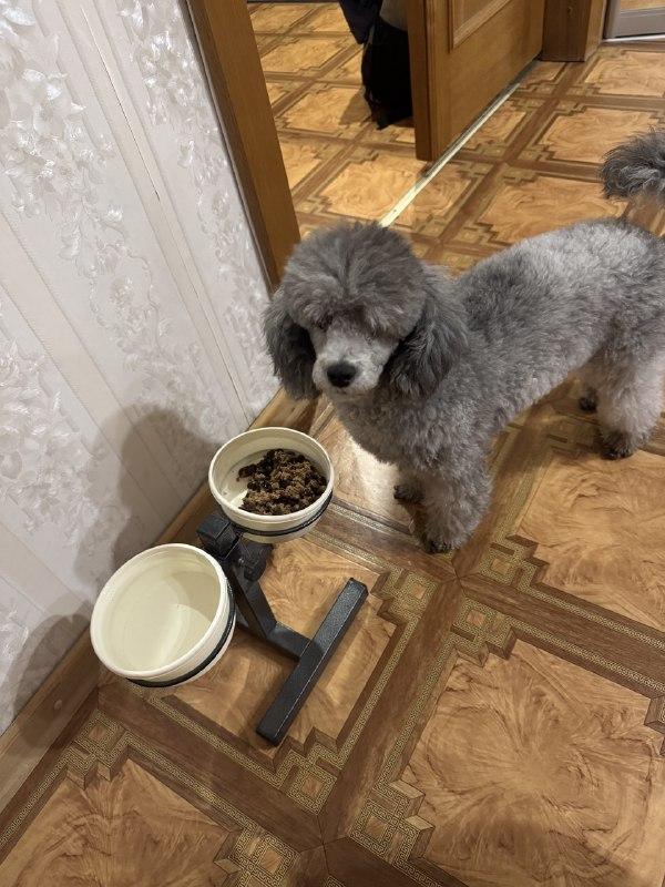 Отзыв Валькирии!