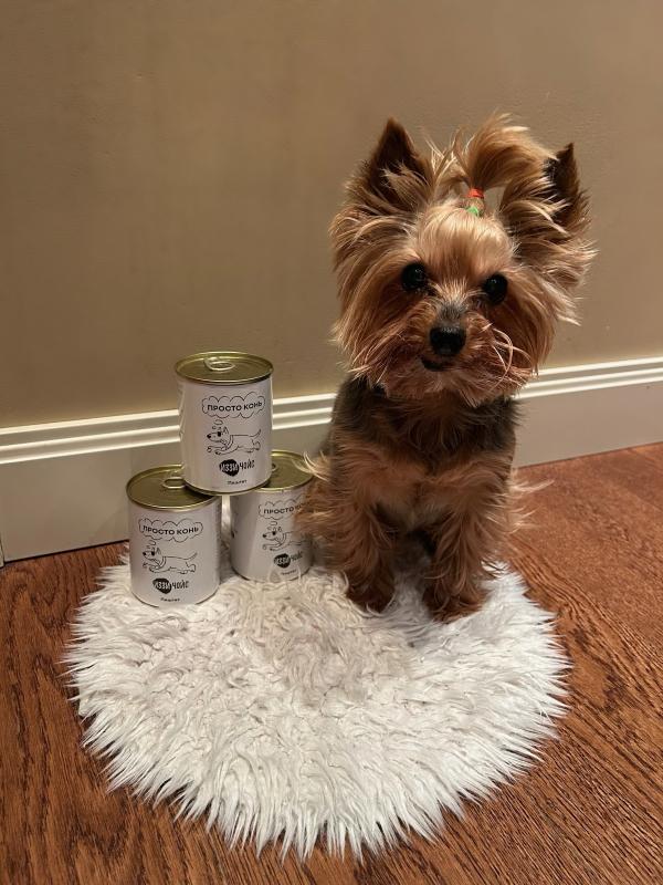 Отзыв Груни