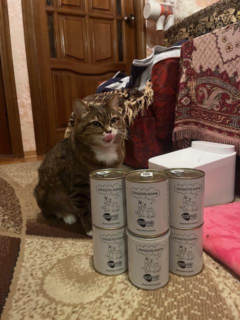 Довольная Буся