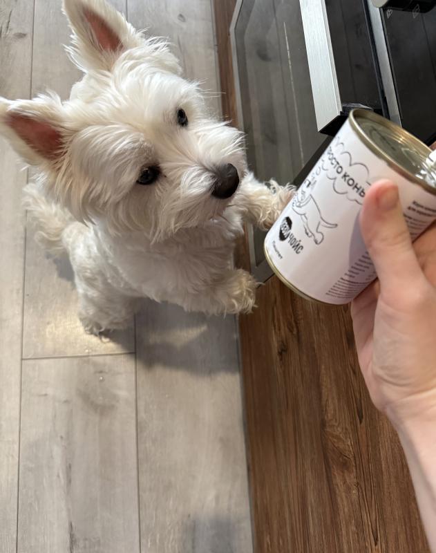 Питомец доволен - миска чиста!