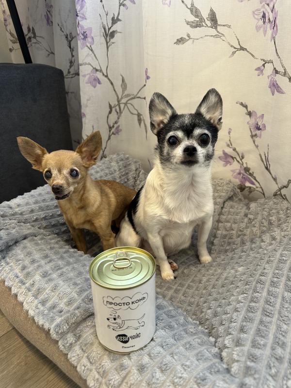 Девушки с опытом на фото знают толк в кормах!