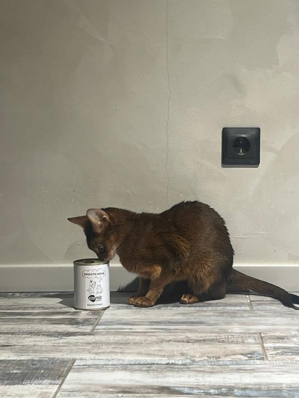 Как мы откормили Бусю